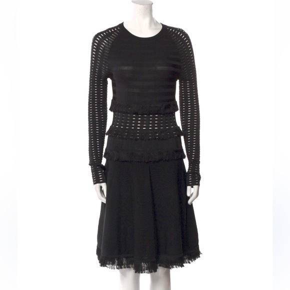 Jason Wu Dresses & Skirts - Jason Wu Fringe Mesh Long Sleeve A-line Holiday Dress